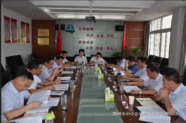 江國新調研中小企業(yè)融資擔保工作