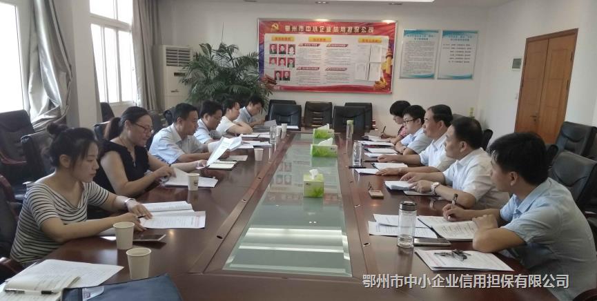 市融資擔(dān)保行業(yè)風(fēng)險工作專班到市擔(dān)保公司調(diào)研
